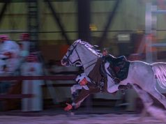 معرض الصقور والصيد السعودي الدولي وسباق الملواح ينطلق في شهر أكتوبر المقبل