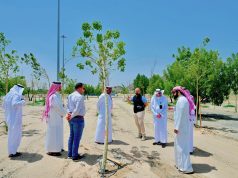 بيئة منطقة مكة المكرمة تشارك في الاجتماع التنسيقي الثاني لتشجير المشاعر المقدسة