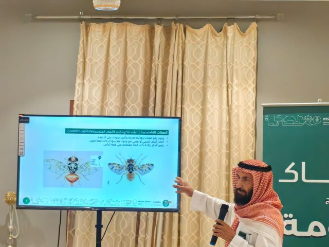 IMG-20250926-WA0129(1)