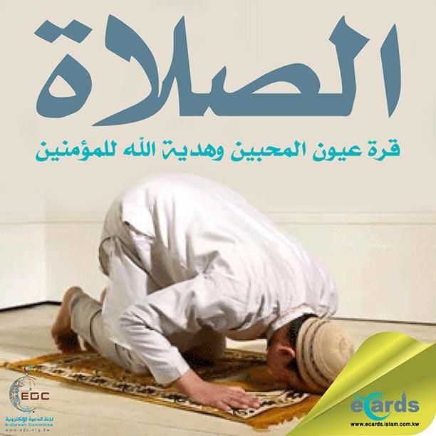 IMG-20250929-WA0505(1)