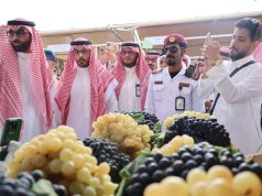 اختتام مهرجان العنب والرمان بالطائف وسط حضور جماهيري واسع وإشادة بجودة المنتجات المحلية