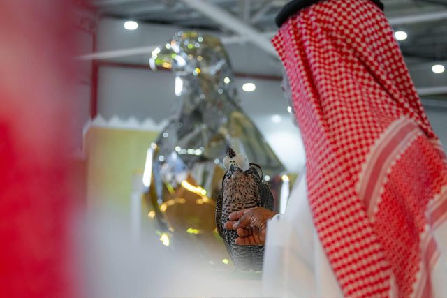 WhatsApp Image 2025-10-02 at 19.30.14