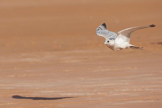 WhatsApp Image 2025-10-10 at 21.54.58