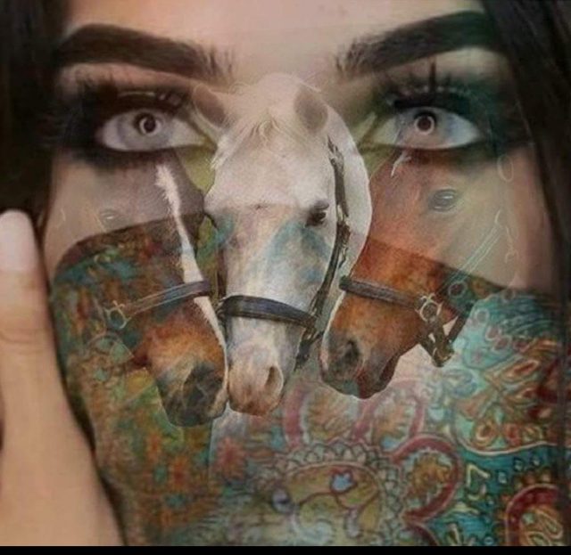 WhatsApp Image 2025-10-11 at 16.38.58