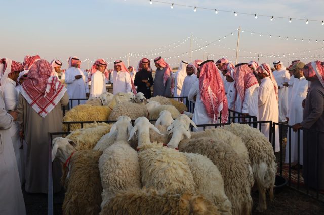 IMG-20251109-WA0059(1)