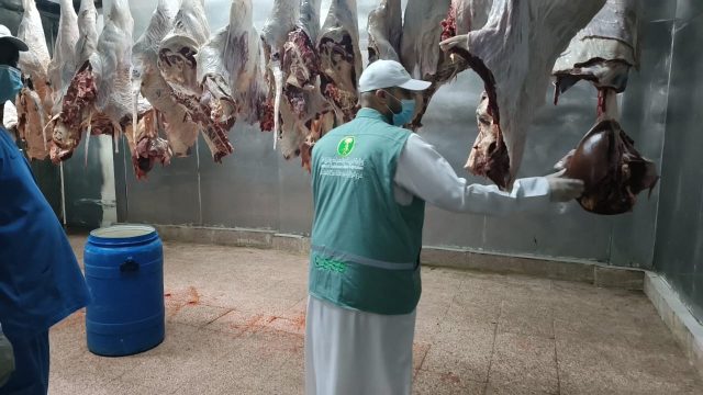 IMG-20251130-WA0291(1)