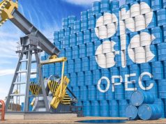 أوبك و منتدى الغاز يدعوان الى المزيد من الاستثمارات عالميا أمام ارتفاع الطلب