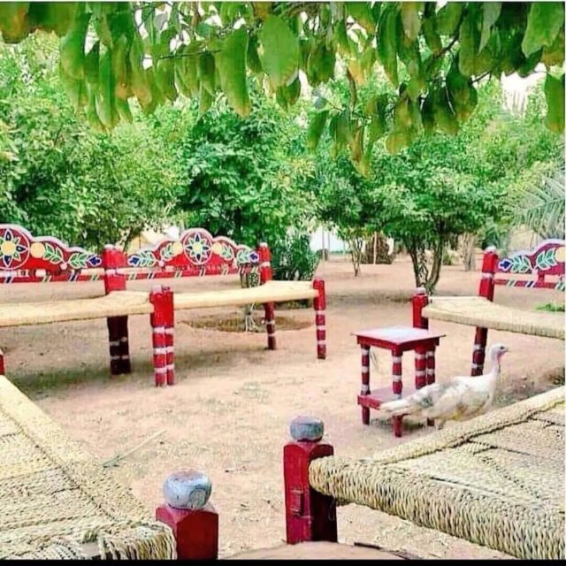 WhatsApp Image 2025-11-15 at 19.20.01 (1)