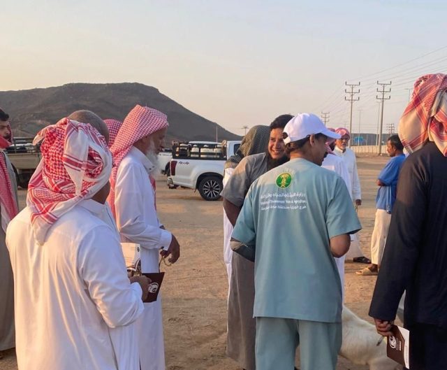 WhatsApp Image 2025-11-17 at 21.26.12