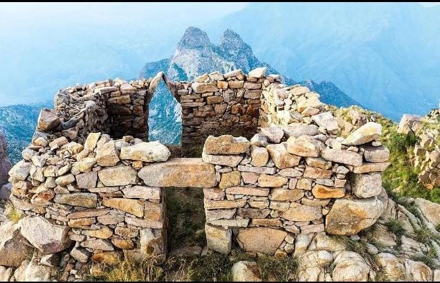 WhatsApp Image 2025-11-26 at 21.37.00