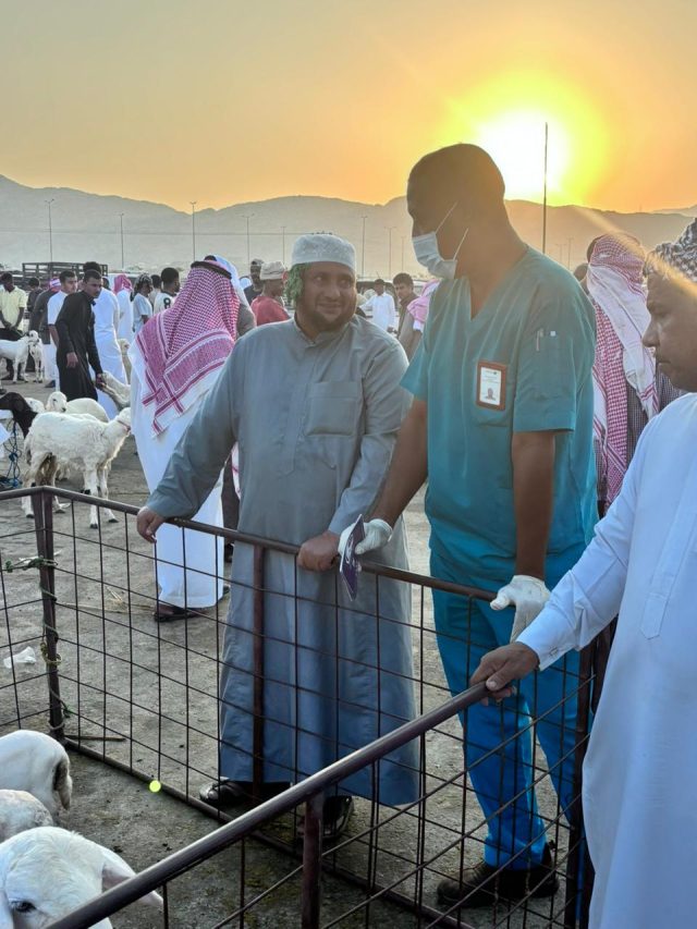 WhatsApp Image 2025-11-27 at 17.32.01