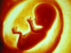 إبداع الخلق… حيث تقف العقول إجلالًا