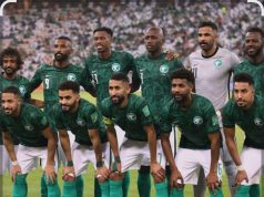 سفينتنا الخضراء