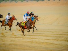 إنطلاق سباق الفروسية السادس بمحافظة الحجرة