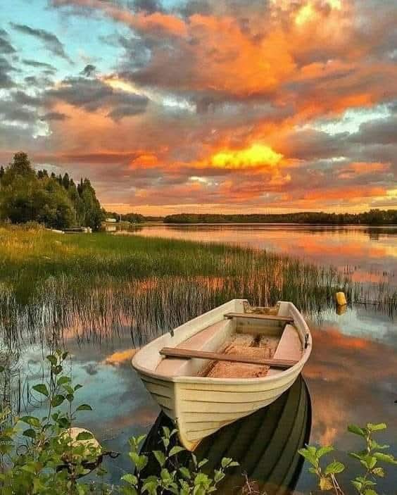 WhatsApp Image 2025-12-02 at 17.29.09