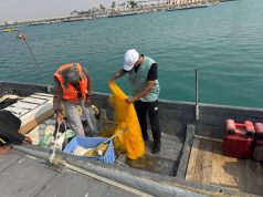 بيئة منطقة مكة المكرمة تتابع ميدانيًا حملة الامتثال لأنظمة الصيد البحري بمرفأ ثول