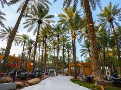 القصيم.. واحة الهدوء والتراث ووجهة مثالية للعائلات