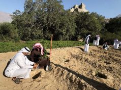 فرع وزارة البيئة بالباحة يستكمل المرحلة الثانية من مبادرة زراعة البن