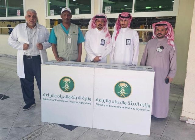 IMG-20260129-WA0155(1)