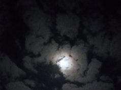 كان القمر وحيدًا تلك الليلة،