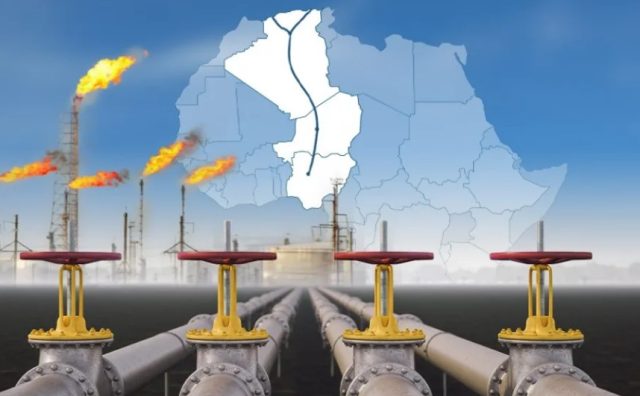 WhatsApp Image 2026-01-26 at 14.39.55