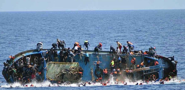 WhatsApp_Image_2026-01-05_at_12.00.38-removebg-preview