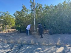 تعليم الطائف يطلق برنامج الدراسة التأسيسية لـ 40 متدربًا ومتدربة