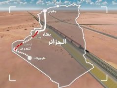 الرئيس الجزائري: رسالة الشهداء الخالدة إرث كفيل بتحقيق النصر في معركة التنمية