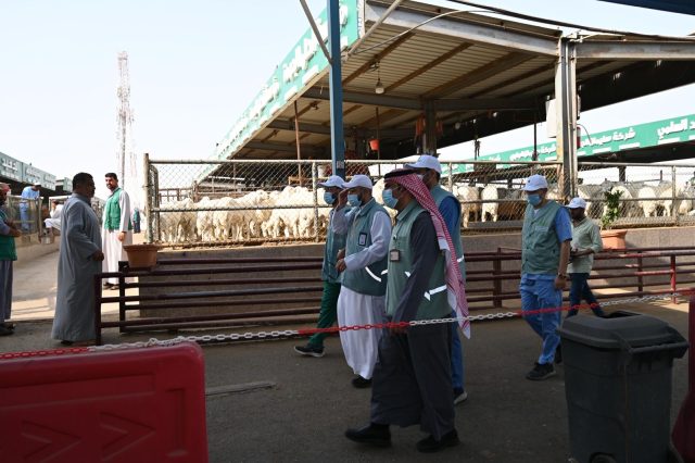 IMG-20260202-WA0056(1)