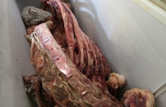 ضمن الحملات الاستباقية لشهر رمضان أمانة جدة تغلق مواقع عشوائية وتتلف 5 أطنان من اللحوم والمواد الغذائية الفاسدة