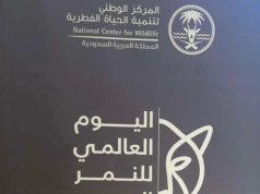 اليوم العالمي للنمر العربي