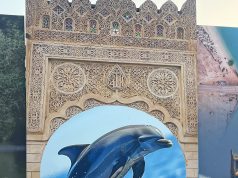 جزر فرسان تستحضر تراث البحر والإنسان في ركنها بالشارع الثقافي لمهرجان جازان 2026