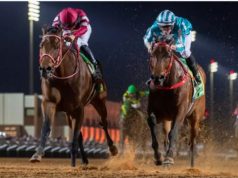 كأس السعودية 2026: “رياضة النبلاء” تجذب أنظار العالم نحو