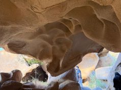 رحلة استثنائية إلى جبل شدا الأسفل ضمن فعاليات شتاء الباحة