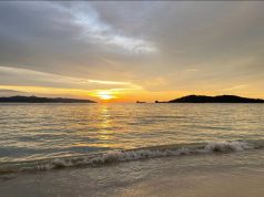 المشاعر حين تنضج