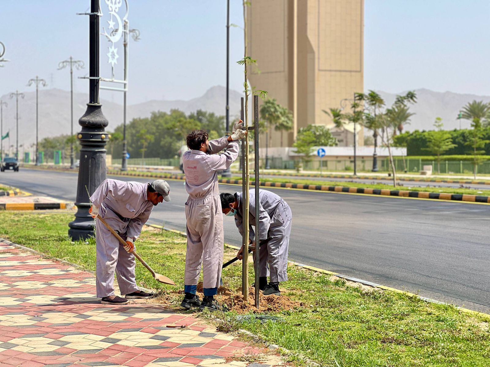 أمانة نجران تهيء 2 مليون م2 من المسطحات الخضراء لإستقبال عيد الفطر