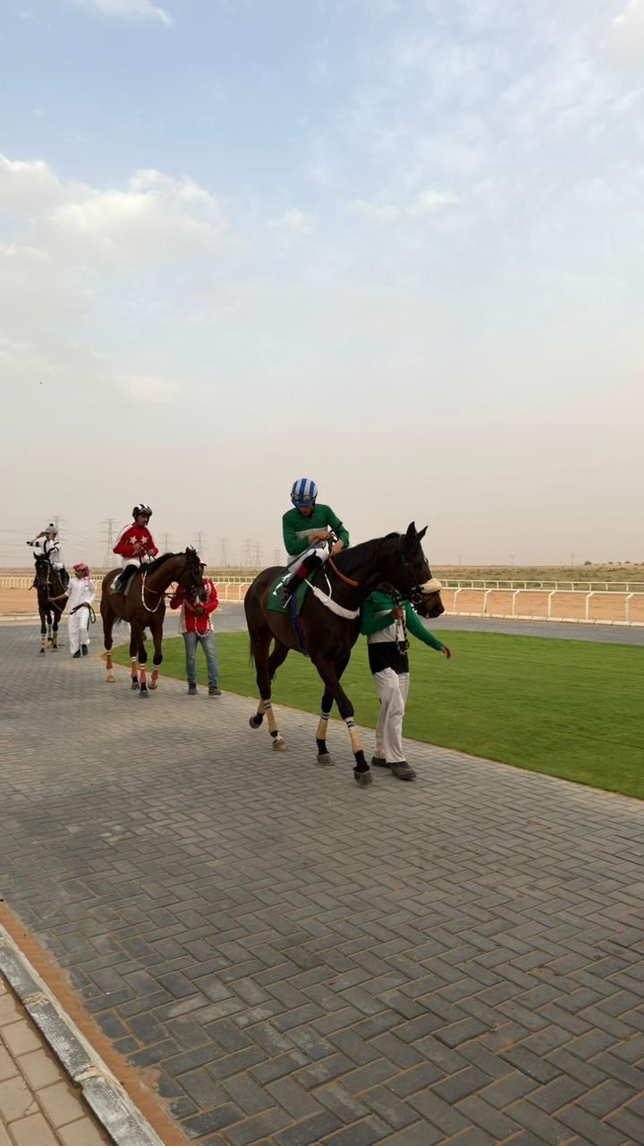 منافسات سباق الخيل بمحافظة البدائع