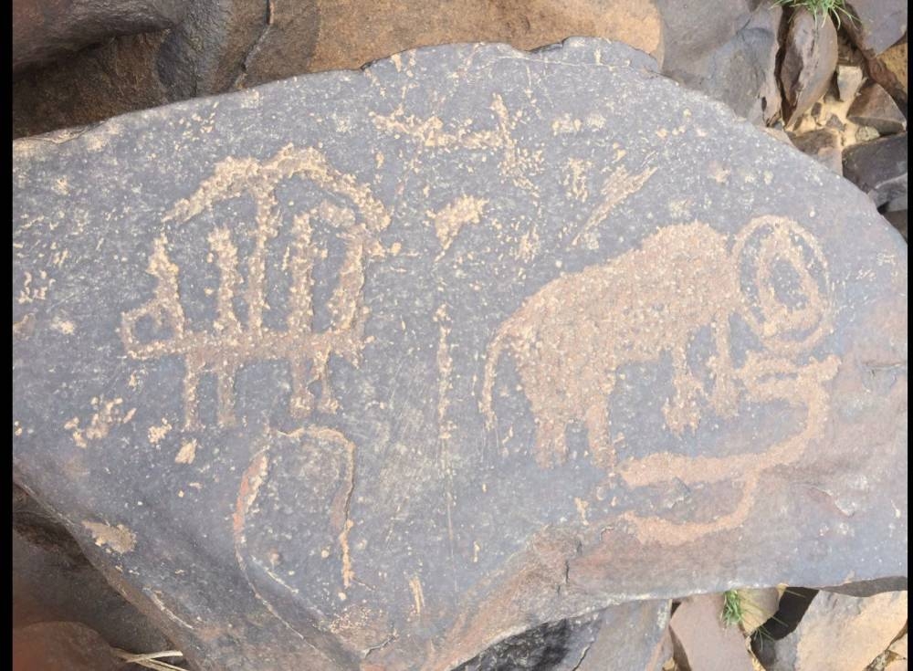 درب الفيل في محافظة العقيق: رحلة عبر التاريخ تنبض بالحضارة والإنسان