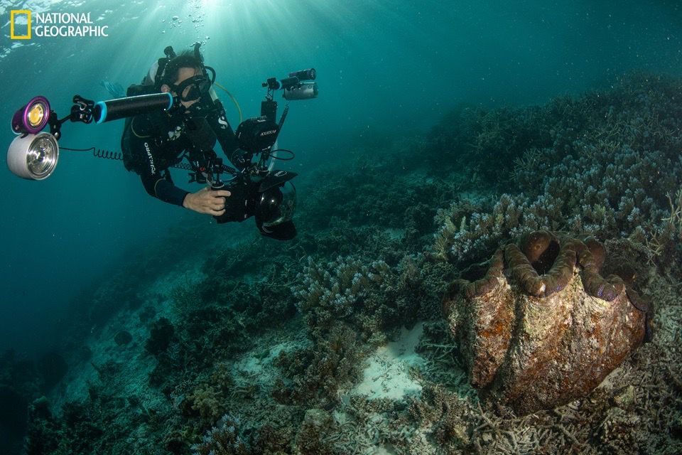 الجمعية الجغرافية الوطنية (ناشونال جيوغرافيك) تتعاون مع أمازون ويب سيرفيسز لنقل أصولها التاريخية إلى المستقبل