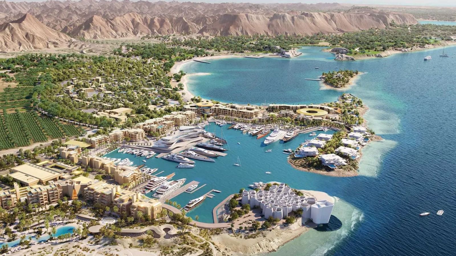 سواحل المملكة وجهة بحرية بلا منافس