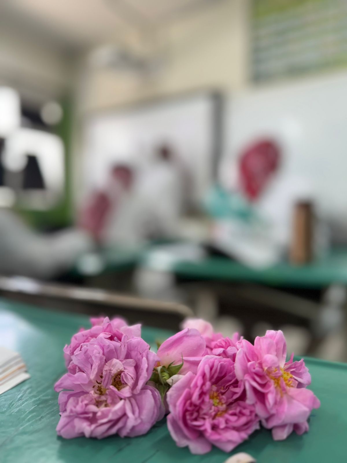 مدارس تعليم الطائف تفوح عطرًا بالورد بمشاركة أكثر من ربع مليون طالب وطالبة 