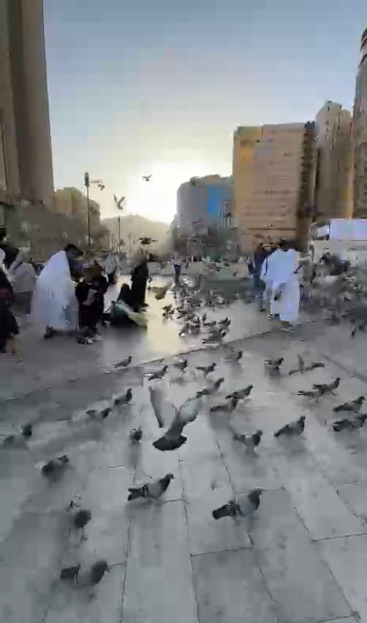 مبادرة إنسانية مميزة.. نادي «رحلة» ينظم رحلة عمرة لأعضائه وفتيات دار الحضانة الاجتماعية