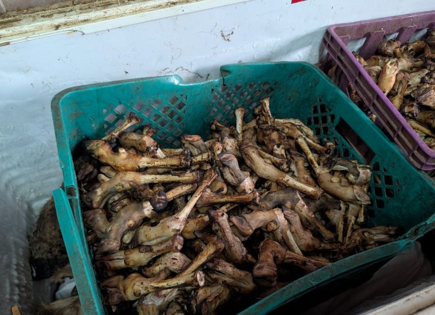 أمانة جدة تُتلف أكثر من 3 أطنان ذبائح فاسدة وتُغلق موقعين جنوب المحافظة