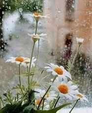 ‏دفء القلوب