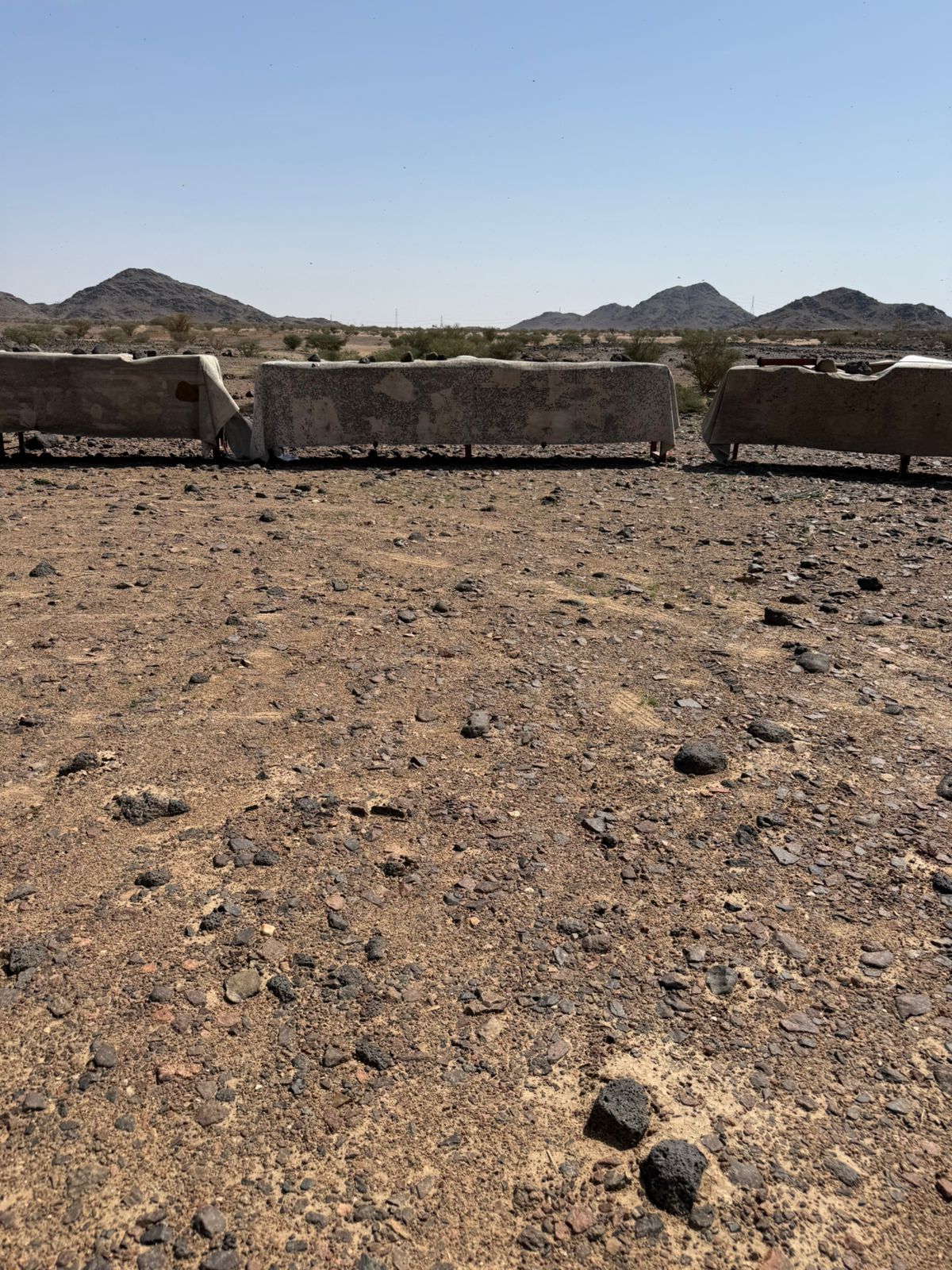 ‏بيئة رنية تكثّف جولاتها الرقابية على النحالين لتعزيز جودة العسل واستدامة القطاع