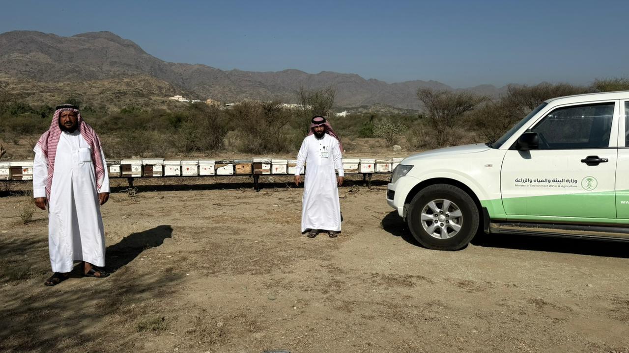 ‏بيئة العرضيات تنفذ جولات رقابية لتعزيز جودة العسل واستدامة تربية النحل