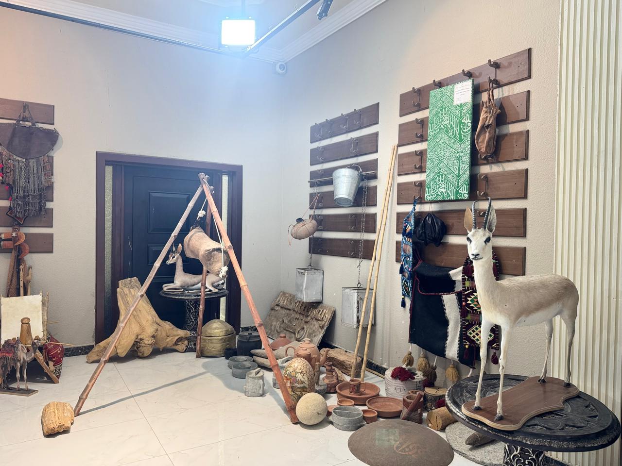 متحف هذيل تحت عدسة الإعلاميين ونجوم السياحة.. قراءة احترافية لإرث عريق