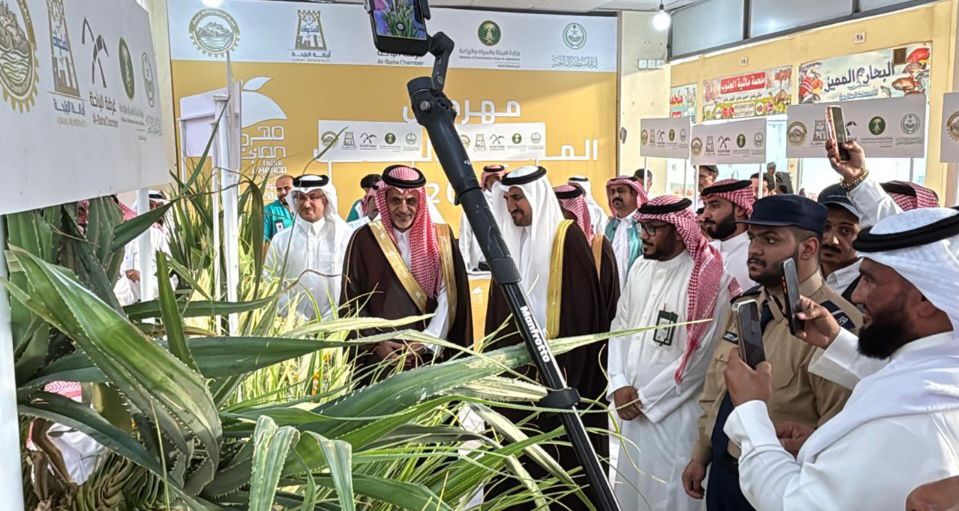 محافظ المخواة يدشن مهرجان المانجو الثالث بمشاركة أكثر من 35 عارضًا بالسوق الشعبي