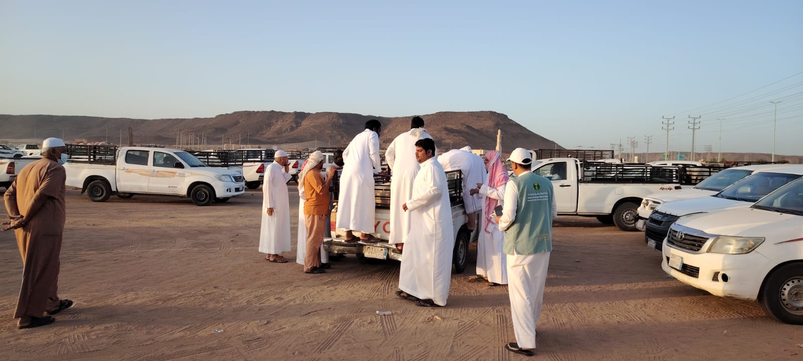 “بيئة خليص” تنفّذ جولة توعوية بسوق المواشي لتعزيز سلامة الأضاحي