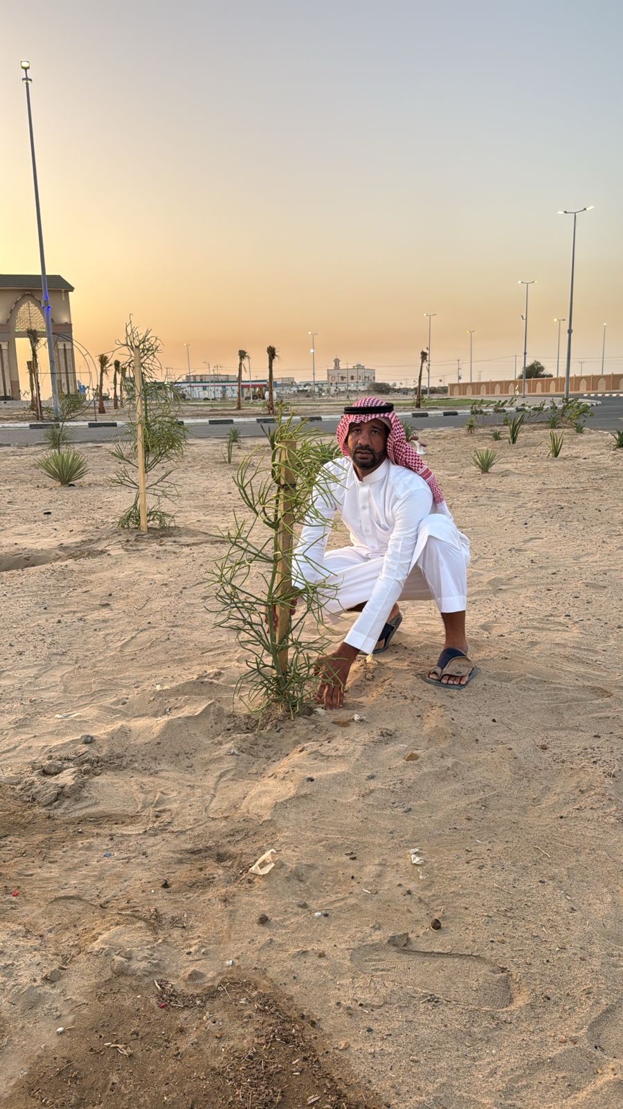 “بيئة الليث” تُعزز الغطاء النباتي بميقات يلملم وتدعم الخدمات البيئية لضيوف الرحمن